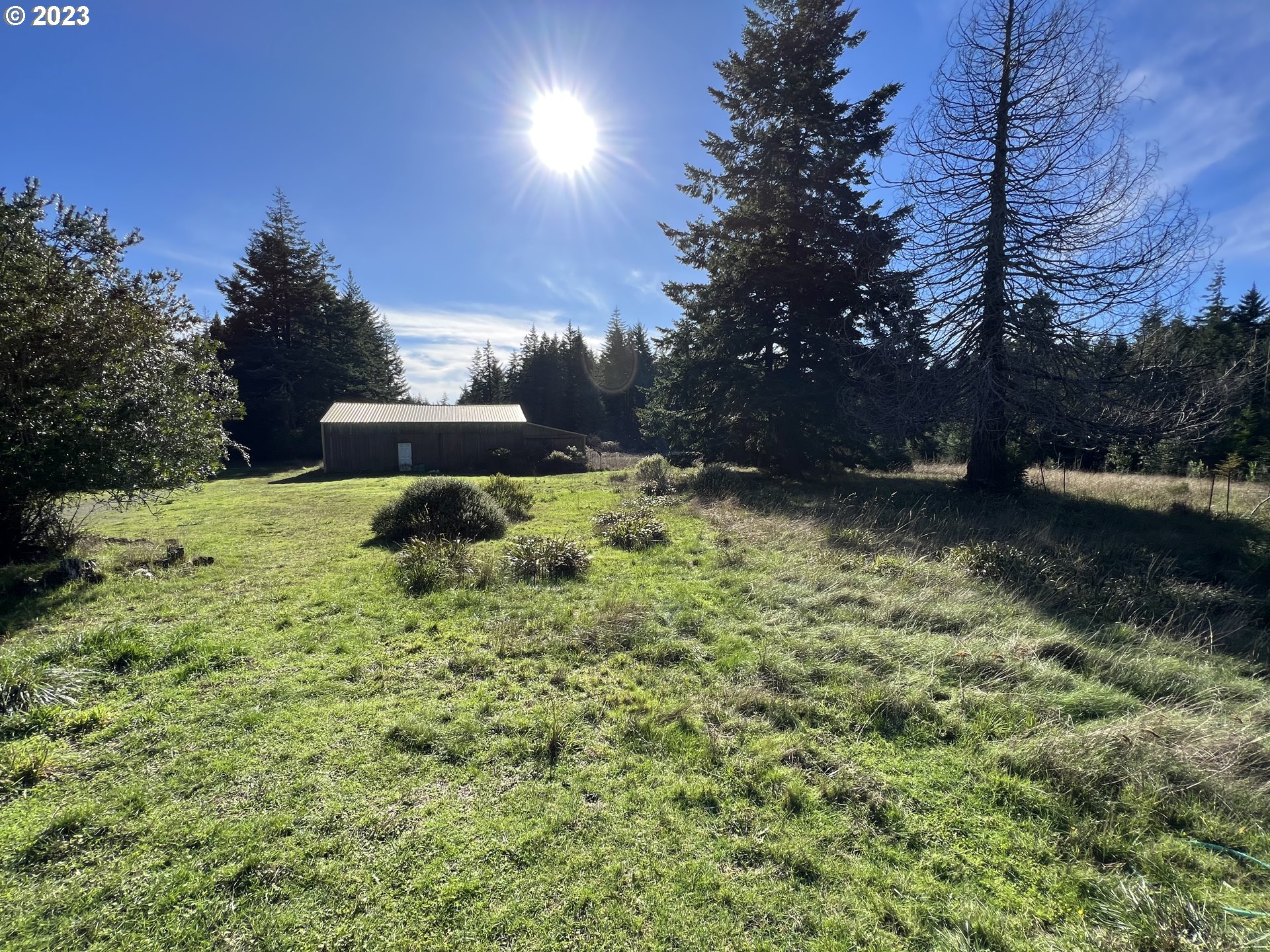 42112 Blanchard Road Port Orford, OR 97465 - Photo 16 of 20 Gallery Image 16