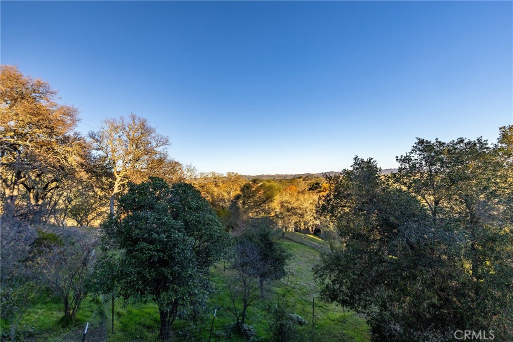 8110 Castenada Lane Atascadero, CA 93422 - Photo 60 of 75 a view of a forest