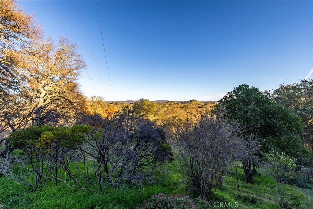 8110 Castenada Lane Atascadero, CA 93422 - Photo 65 of 75 a view of a mountain range with trees in the background