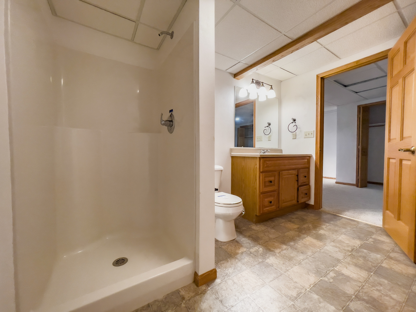 15648 Murphy Road Winnebago, IL 61088 - Photo 29 of 35 a bathroom with a sink a toilet and shower