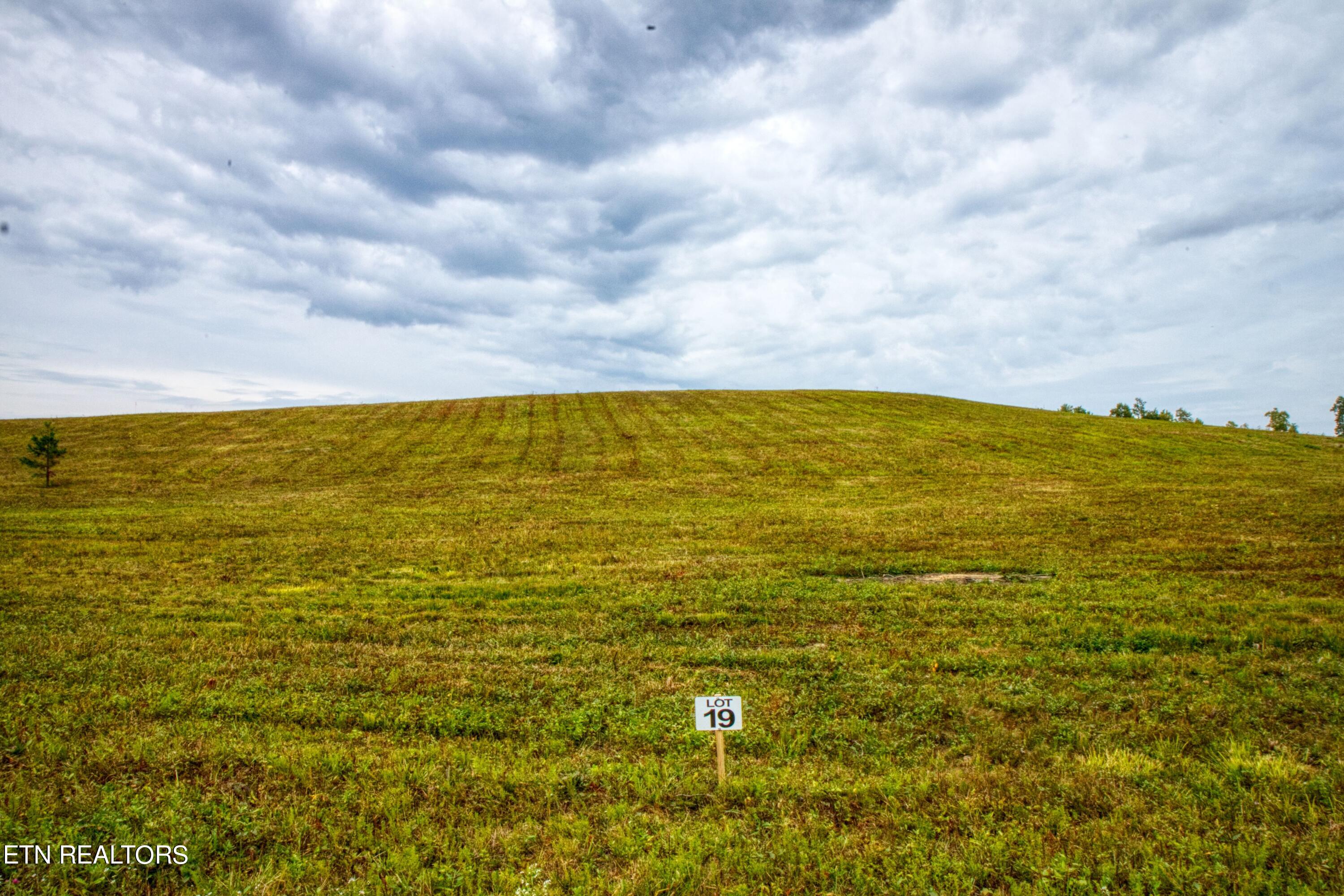 Lot 19 Old Mt Helen Road Allardt, TN 38504 - Photo 3 of 3 1