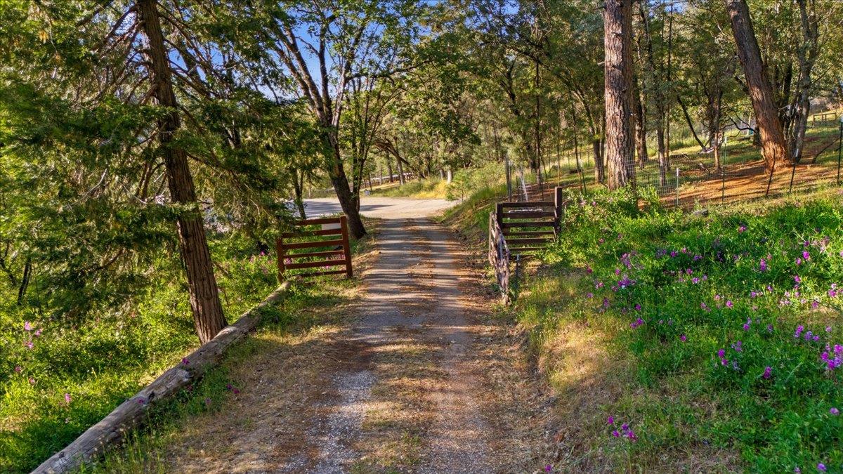 19235 Bumpy Road Grass Valley, CA 95949 - Photo 56 of 60