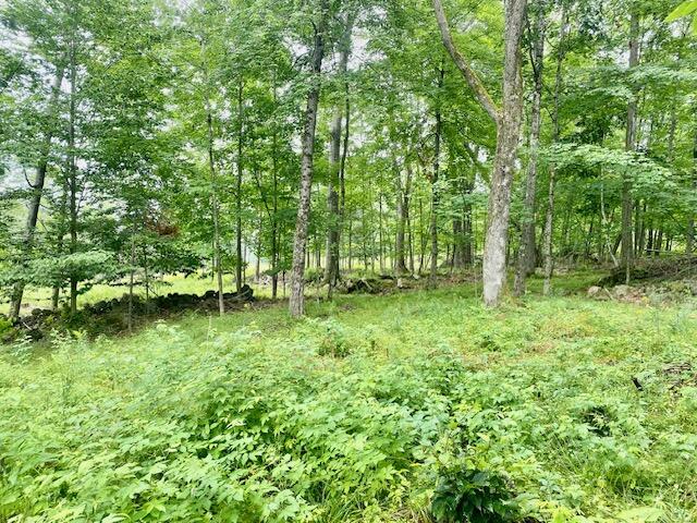 8-ac Mudgett Road Parsonsfield, ME 04047 - Photo 7 of 12 IMG_8502