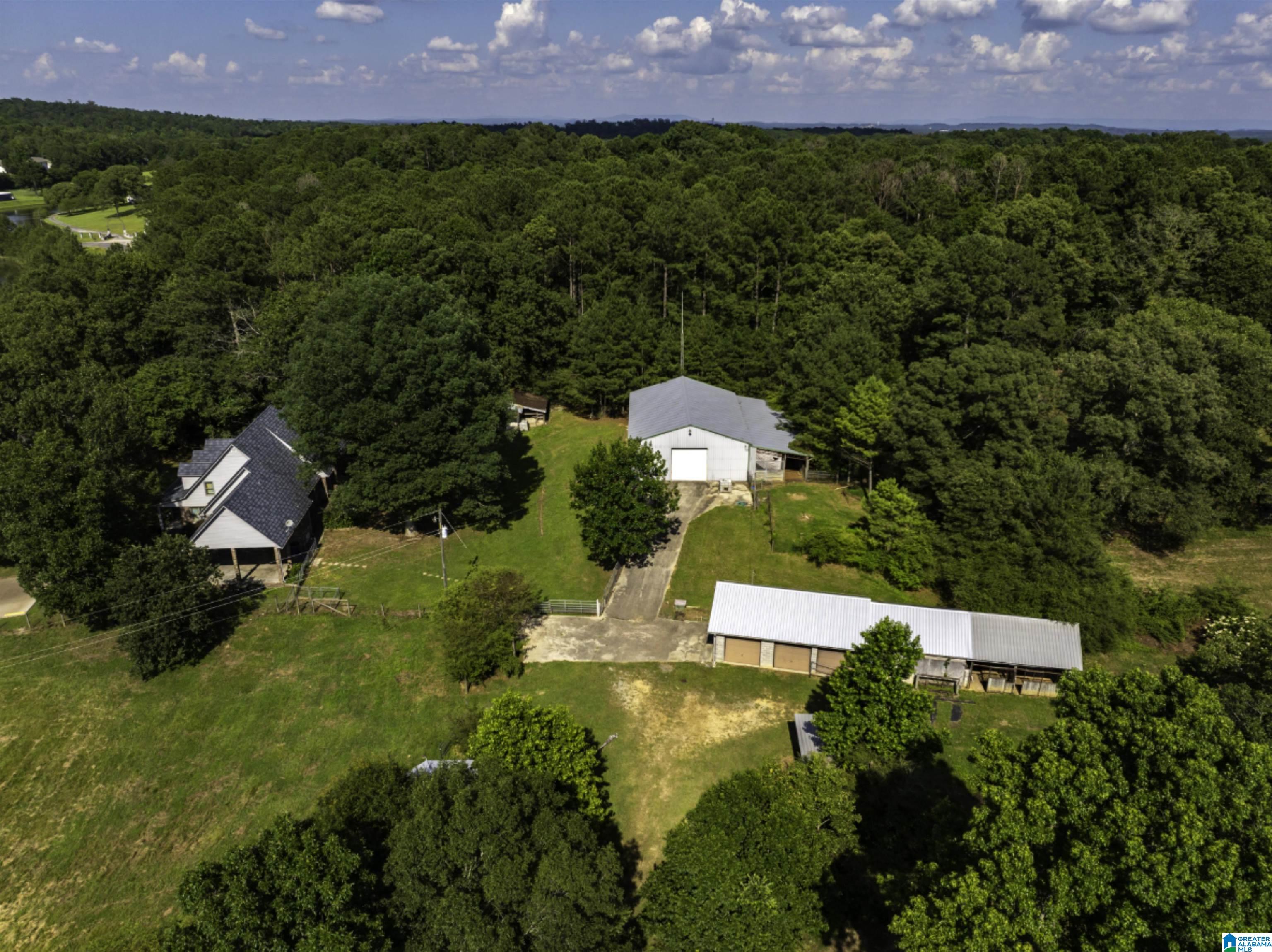 2500 Sprayberry Road Pell City, AL 35125 - Photo 54 of 76