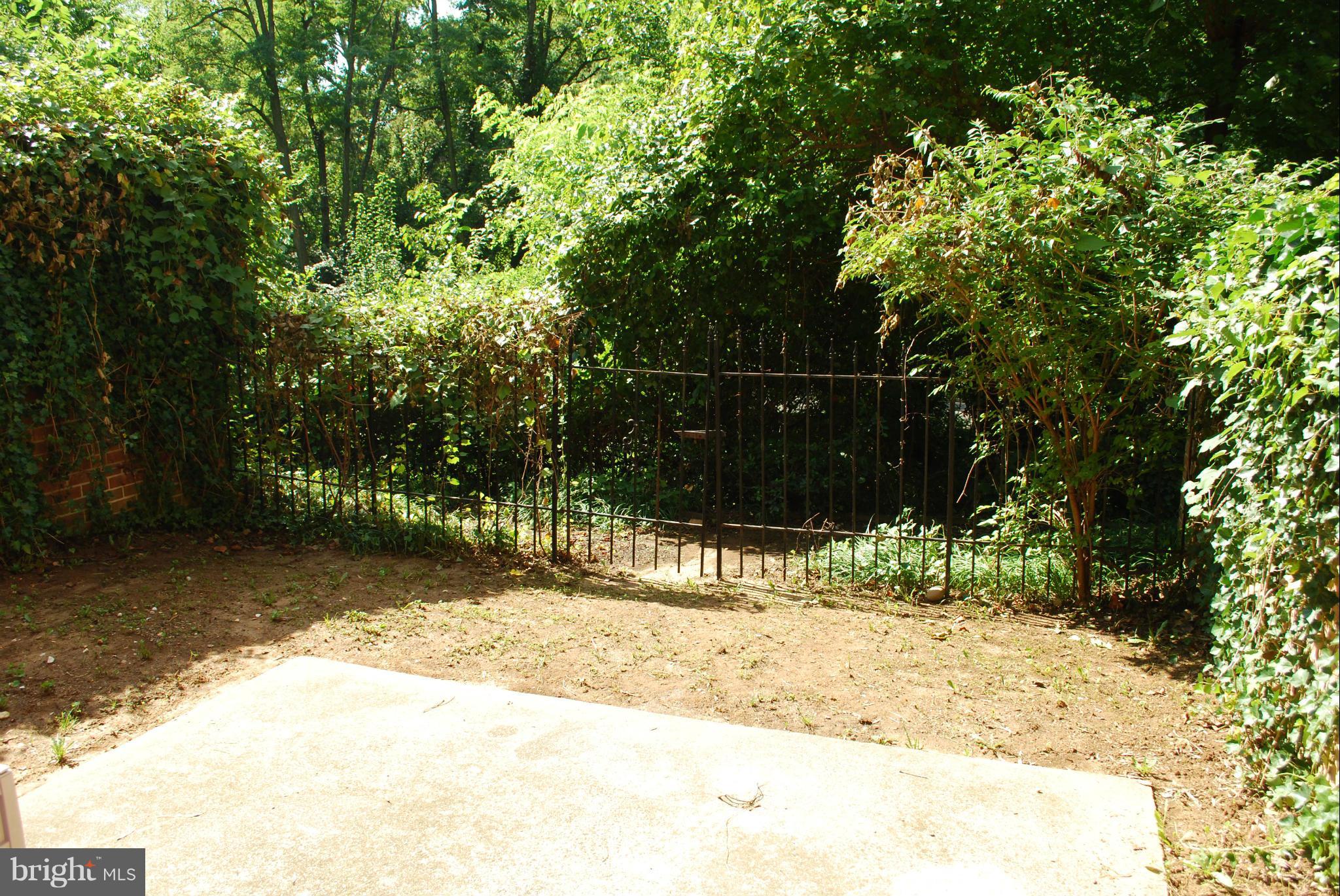 4608 4th Road North Arlington, VA 22203 - Photo 16 of 19 Exterior (Rear)