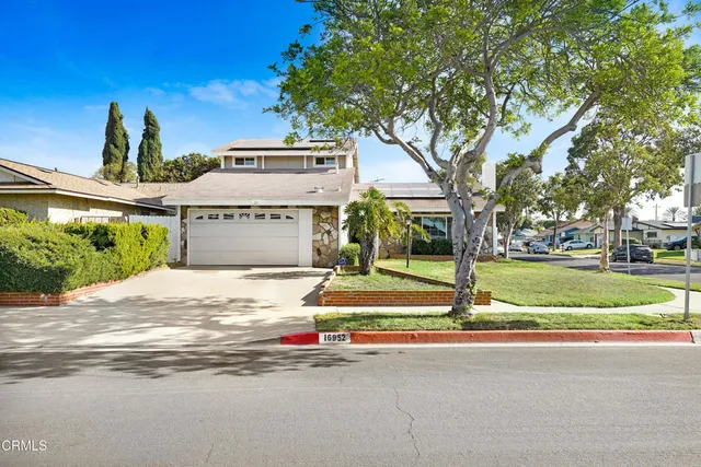 a view of a house with a yard and large tree