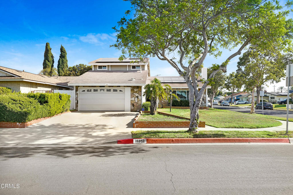a view of a house with a yard and large tree