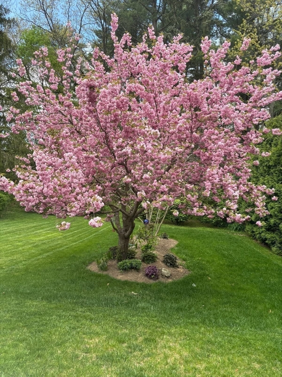232 Cady Street Ludlow, MA 01056 - Photo 28 of 34