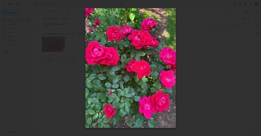 232 Cady Street Ludlow, MA 01056 - Photo 31 of 34