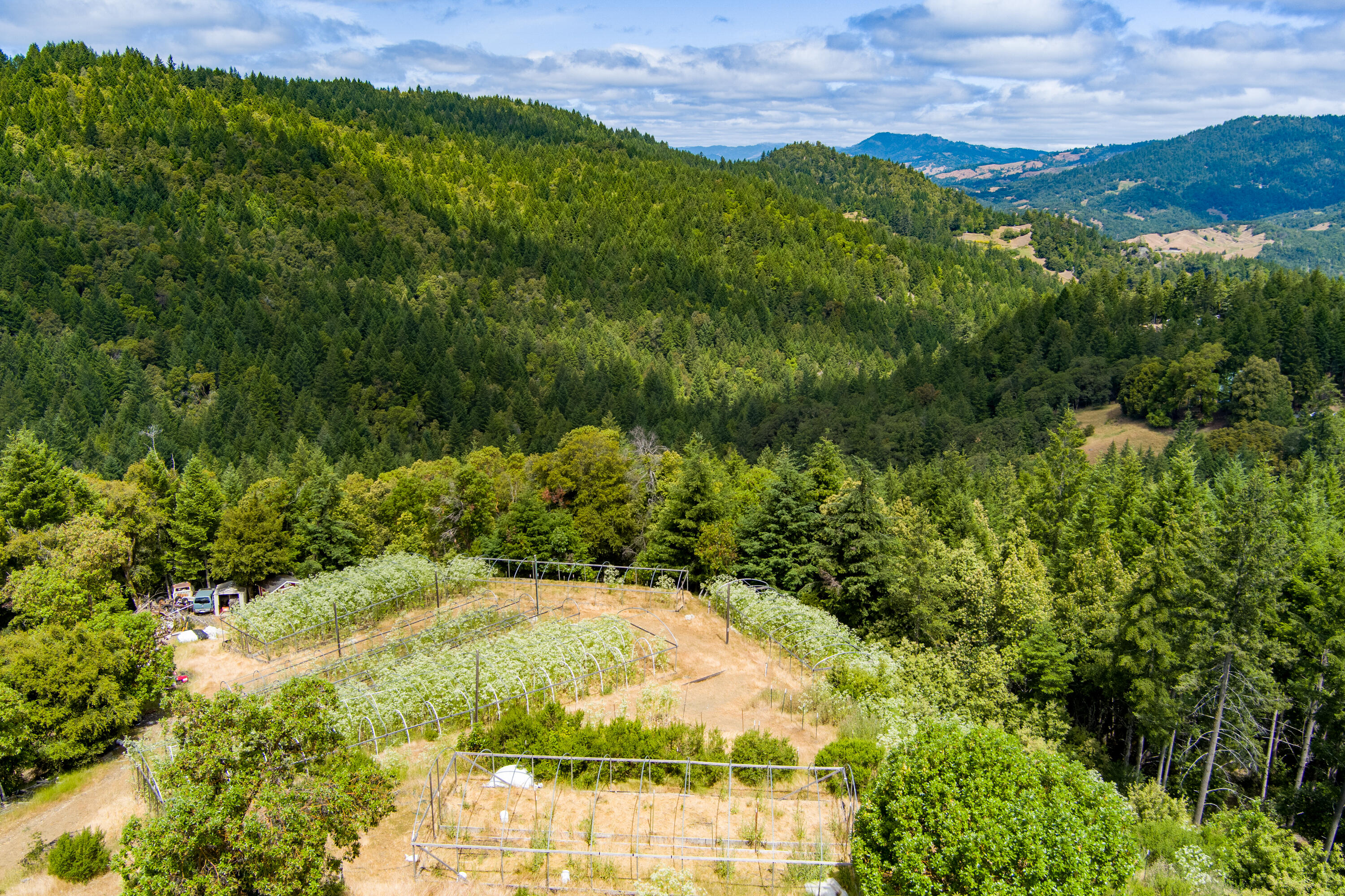 3761 Blue Rock Road Garberville, CA 95542 - Photo 80 of 86