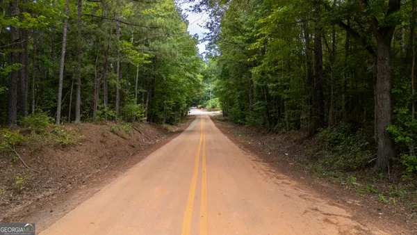 a view of a yard with plants and trees