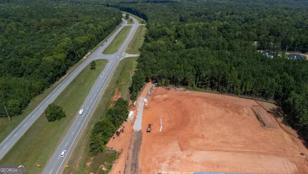 a view of a yard with trees