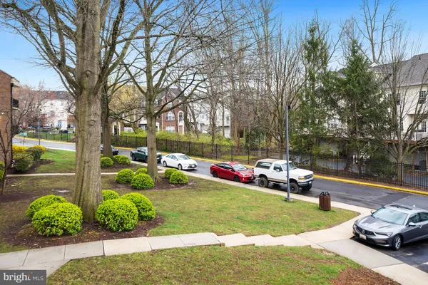 a view of a park with large trees