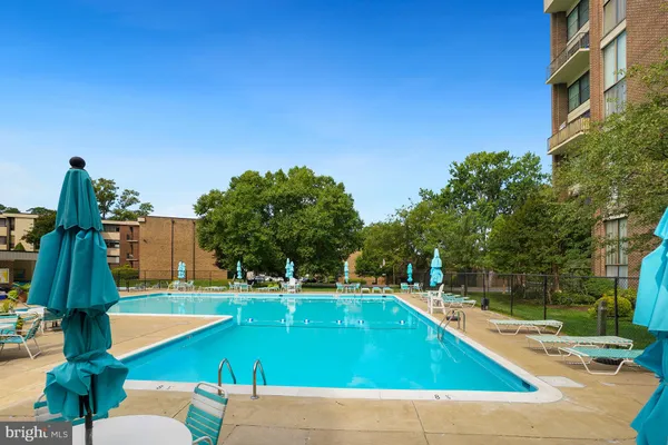 a view of a swimming pool with a yard and plants