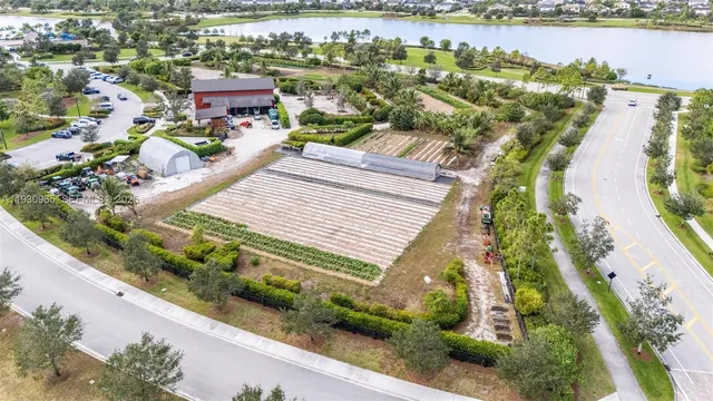 a view of a swimming pool with a lot of trees