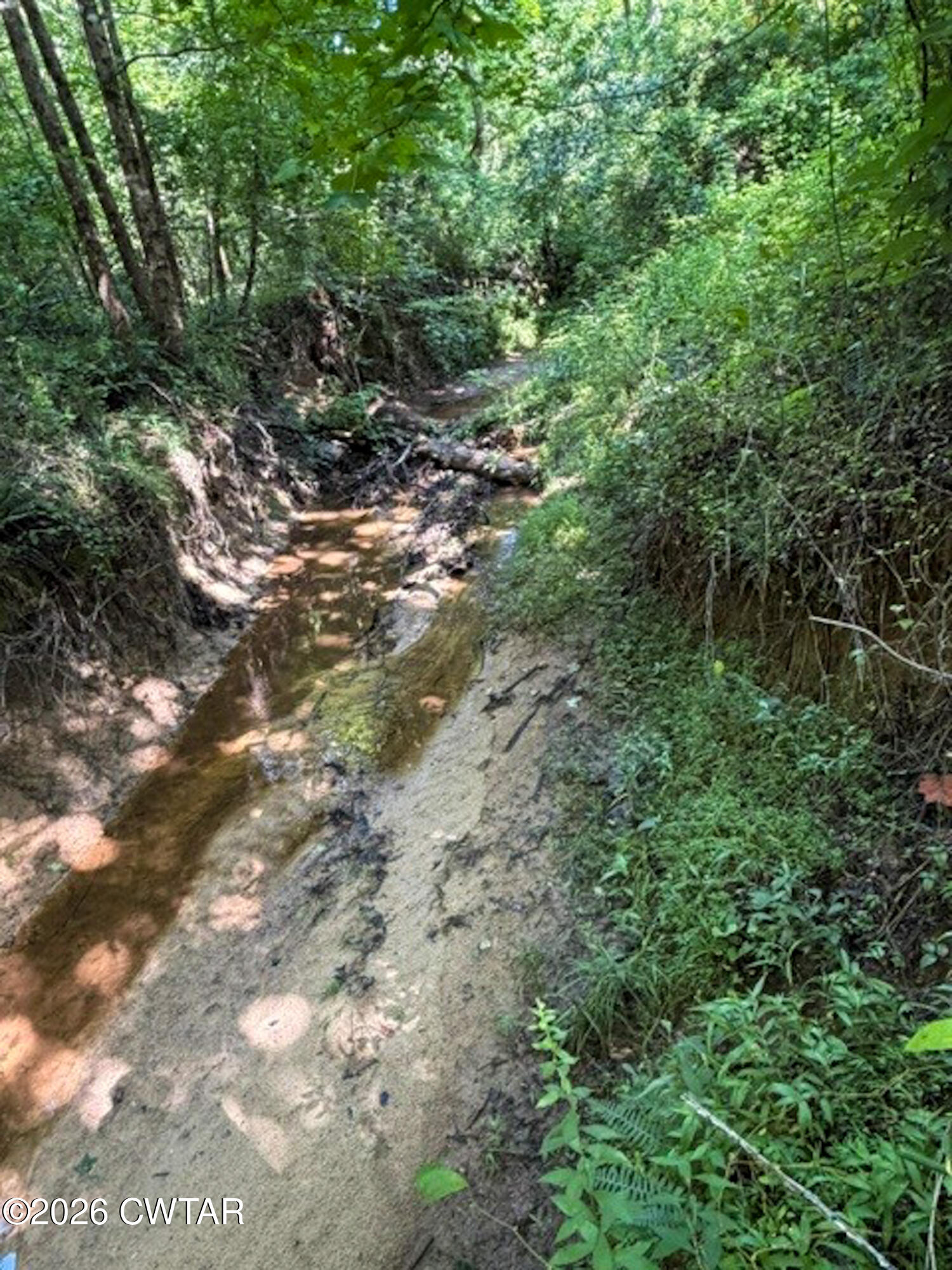 1074 McGee Road Scotts Hill, TN 38374 - Photo 38 of 38 water2