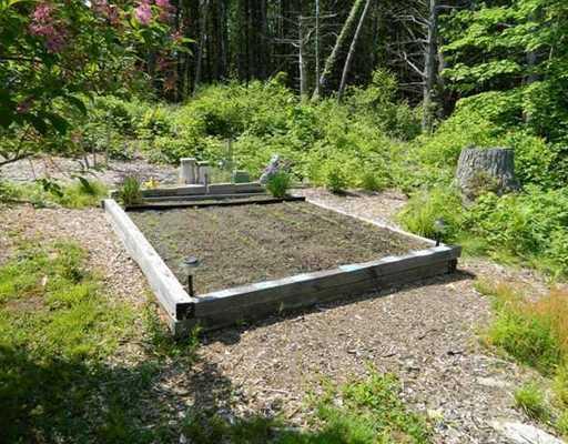 52 Old Pool Road Biddeford, ME 04005 - Photo 15 of 17 Yard/Garden.