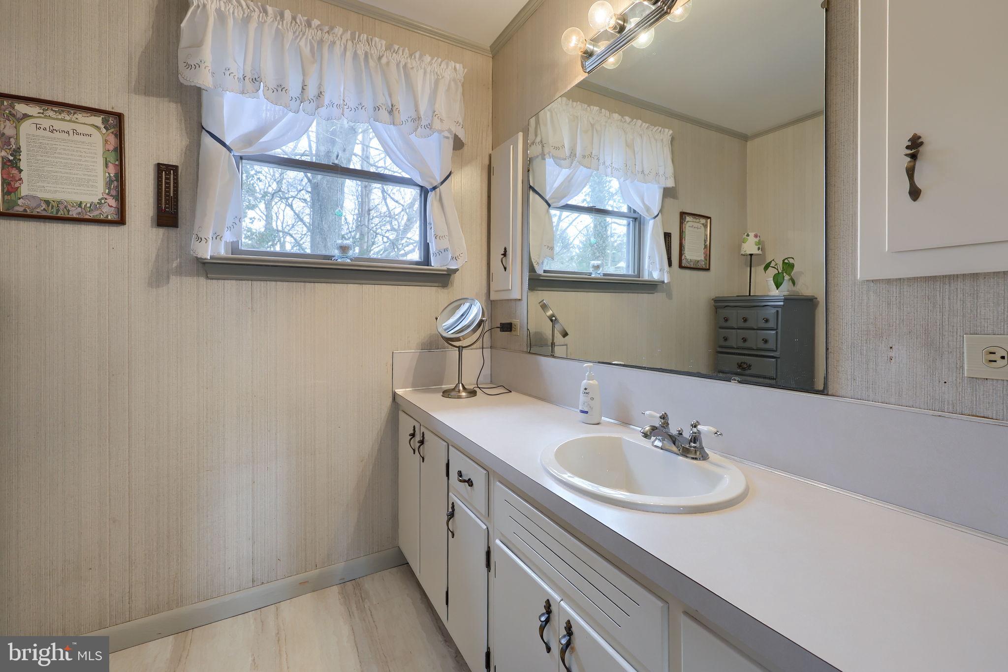 291 Bushong Road Leola, PA 17540 - Photo 21 of 81 a bathroom with a sink and a mirror