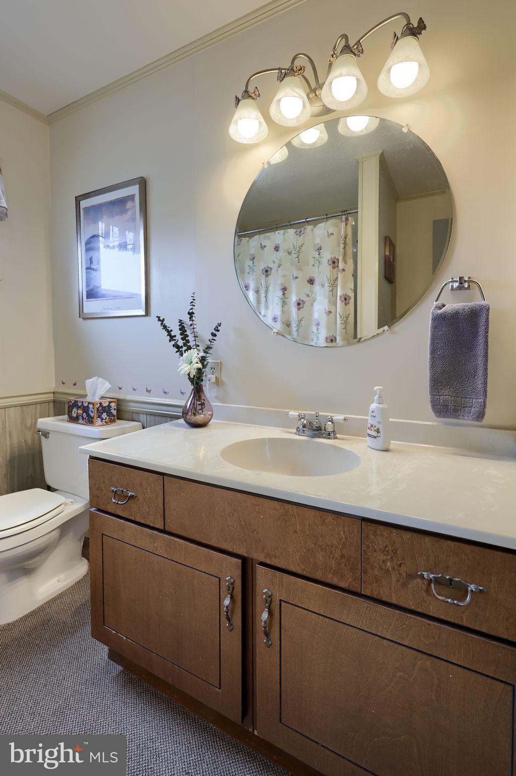 291 Bushong Road Leola, PA 17540 - Photo 30 of 81 a bathroom with a sink and a mirror