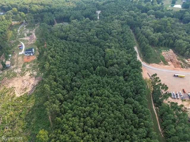 a view of a city with lush green forest