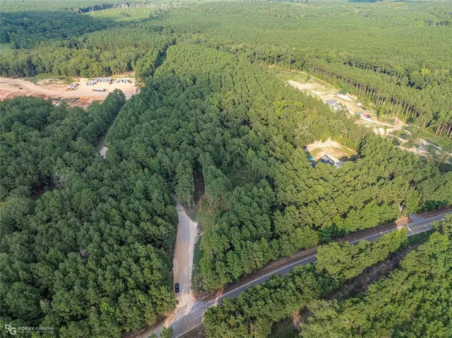 a view of a forest with a lake