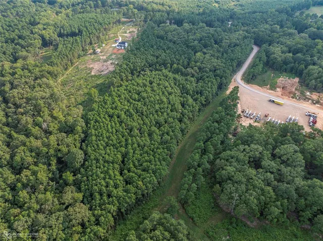 an aerial view of residential houses with outdoor space and trees