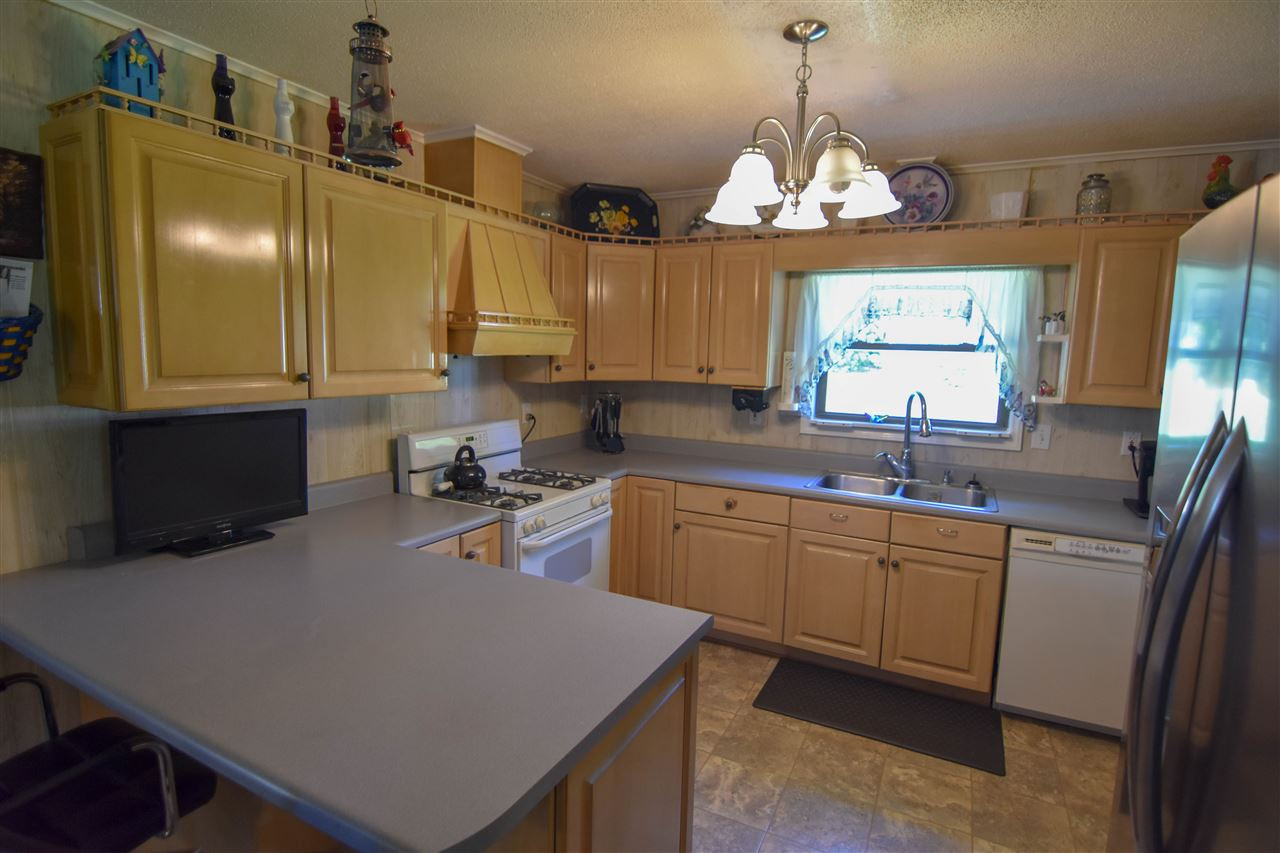 4703 Bragg Road Durham, NC 27704 - Photo 4 of 21 Photo 4