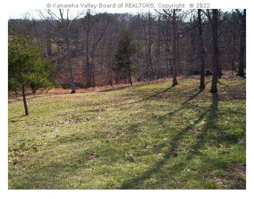 4105 Whitten Ridge Road Milton, WV 25541 - Photo 8 of 8 Land.