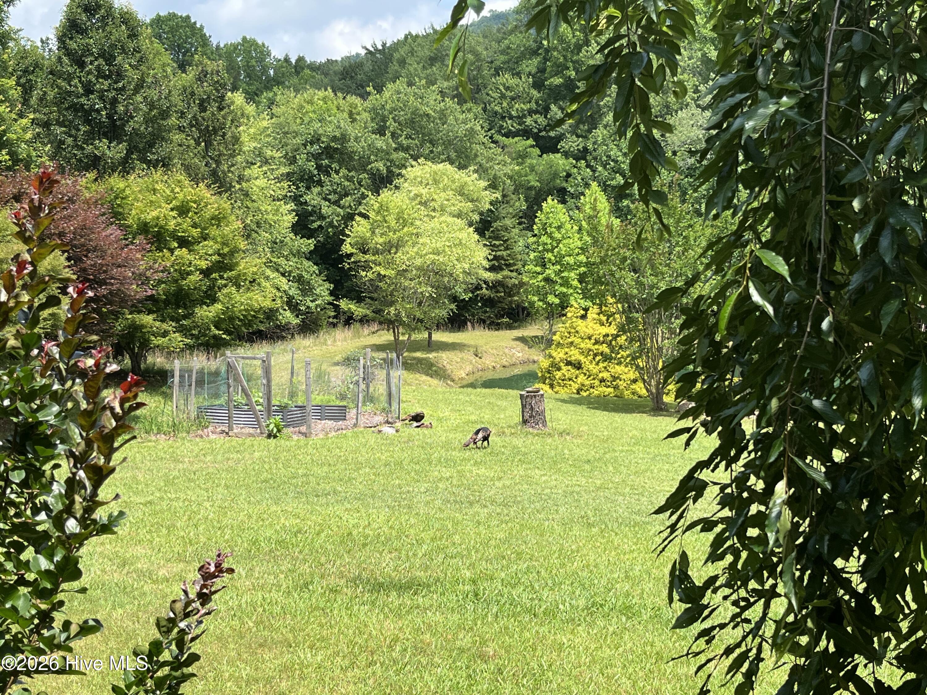 365 Roberson Road Murphy, NC 28906 - Photo 59 of 59
