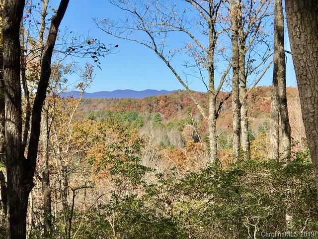 0 Big Hill Road, Unit 5 Brevard, NC 28712 - Photo 3 of 28 Gallery Image 3