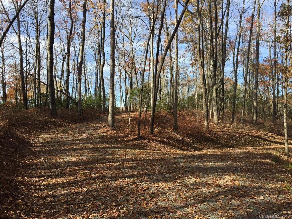 0 Big Hill Road, Unit 5 Brevard, NC 28712 - Photo 8 of 28 Gallery Image 8