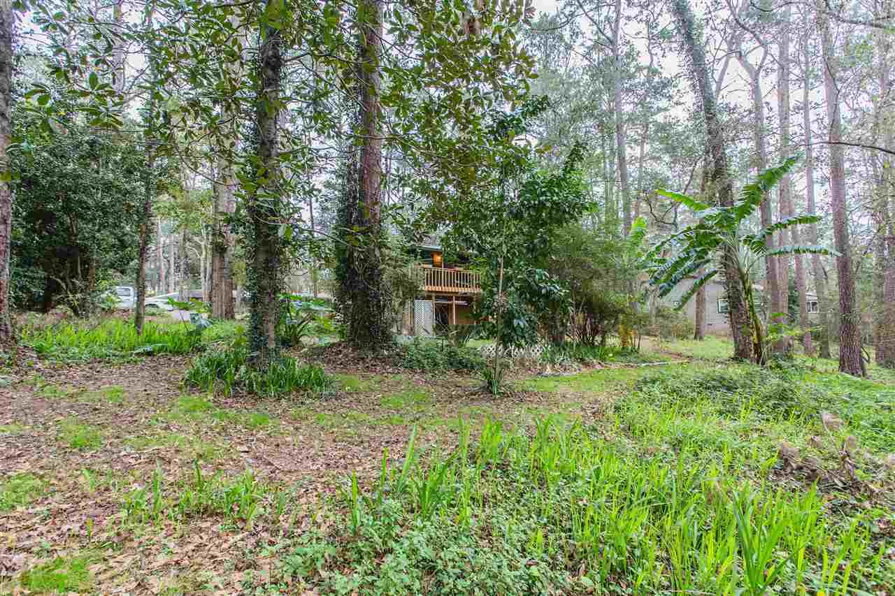 3322 Robinhood Road Tallahassee, FL 32312 - Photo 5 of 36