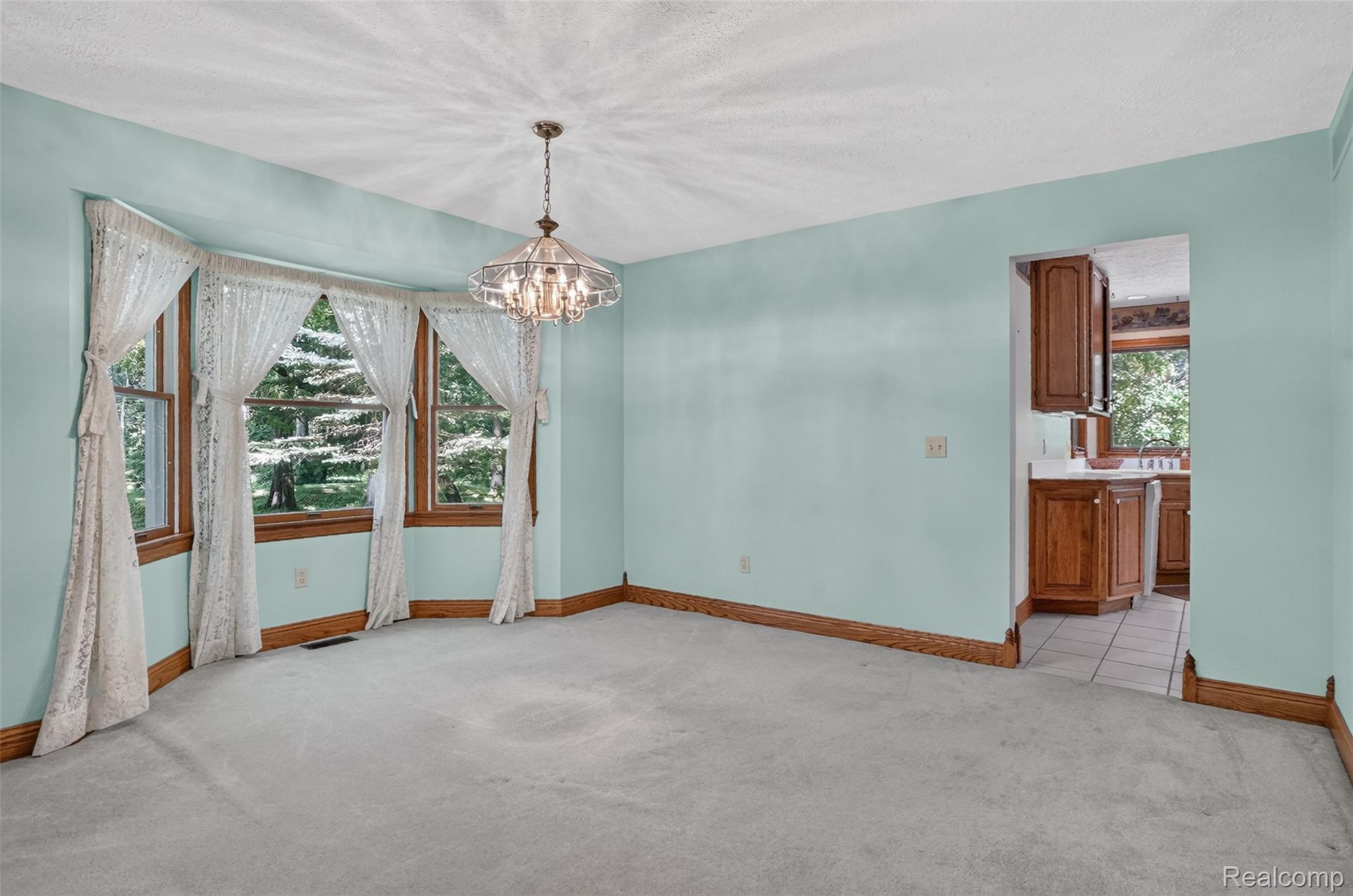 1919 Fox Ridge Drive Howell, MI 48843 - Photo 17 of 42 DSC09647.jpg