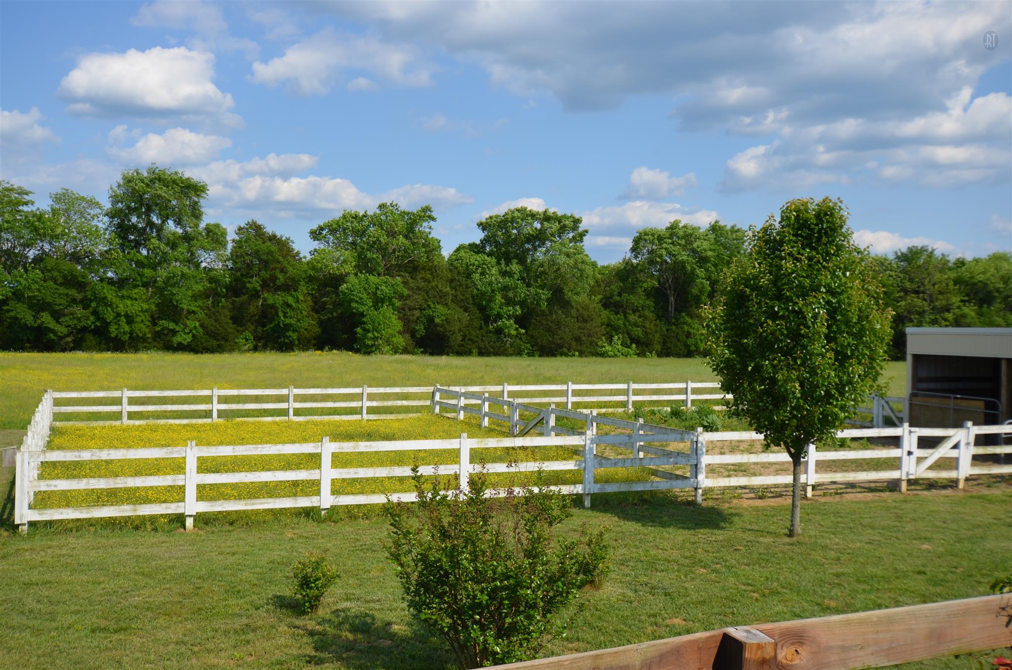 142 County Line Road Bell Buckle, TN 37020 - Photo 6 of 11 a view of a house with a big yard