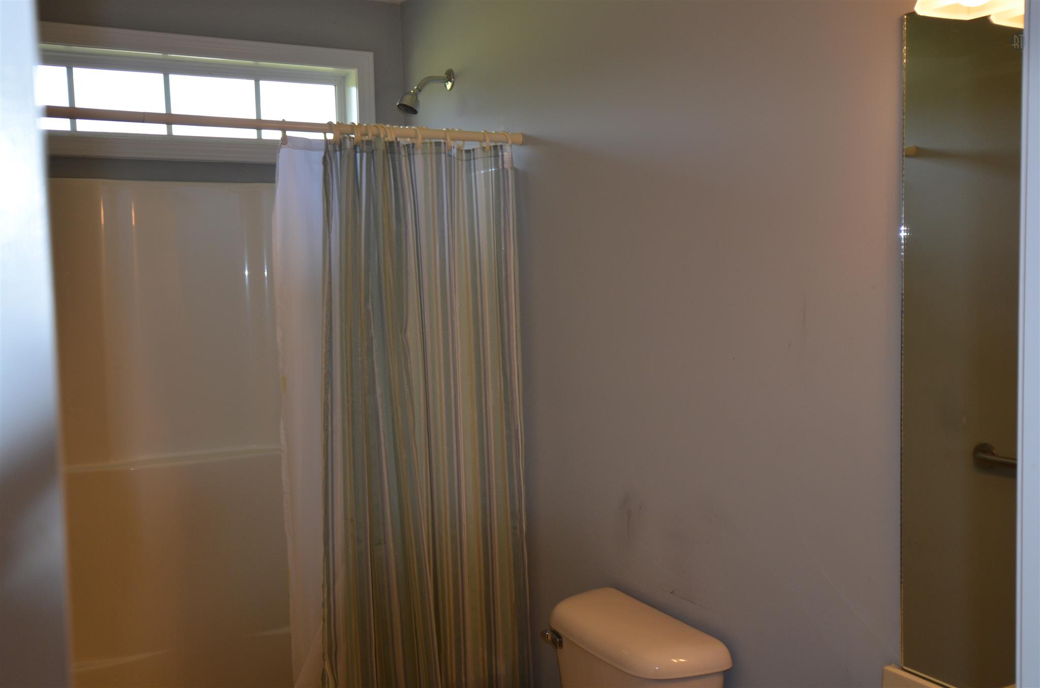 142 County Line Road Bell Buckle, TN 37020 - Photo 10 of 11 a bathroom with a shower and a toilet