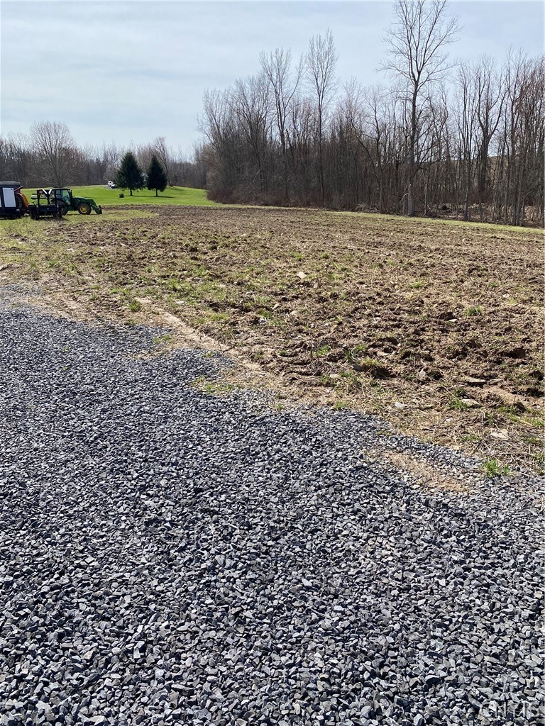 12036 Route 370 Road Cato, NY 13033 - Photo 8 of 8