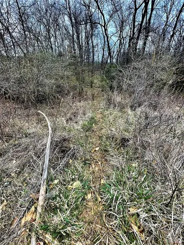 $737,500 | 0 145th Avenue, La Belle, MO 63447