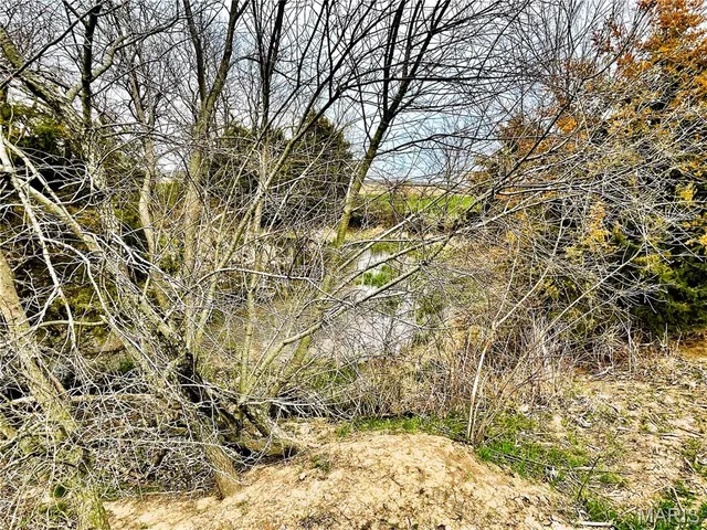 $737,500 | 0 145th Avenue, La Belle, MO 63447