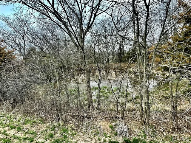 $737,500 | 0 145th Avenue, La Belle, MO 63447