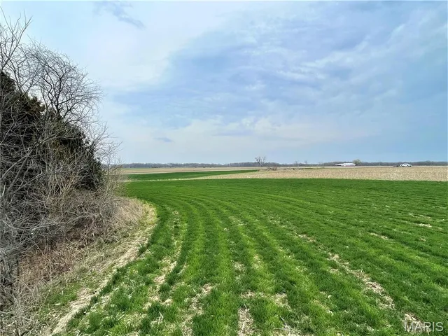 $737,500 | 0 145th Avenue, La Belle, MO 63447