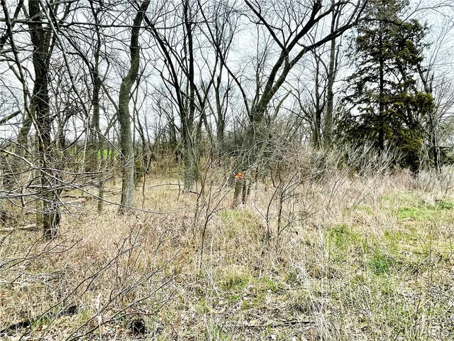 $737,500 | 0 145th Avenue, La Belle, MO 63447