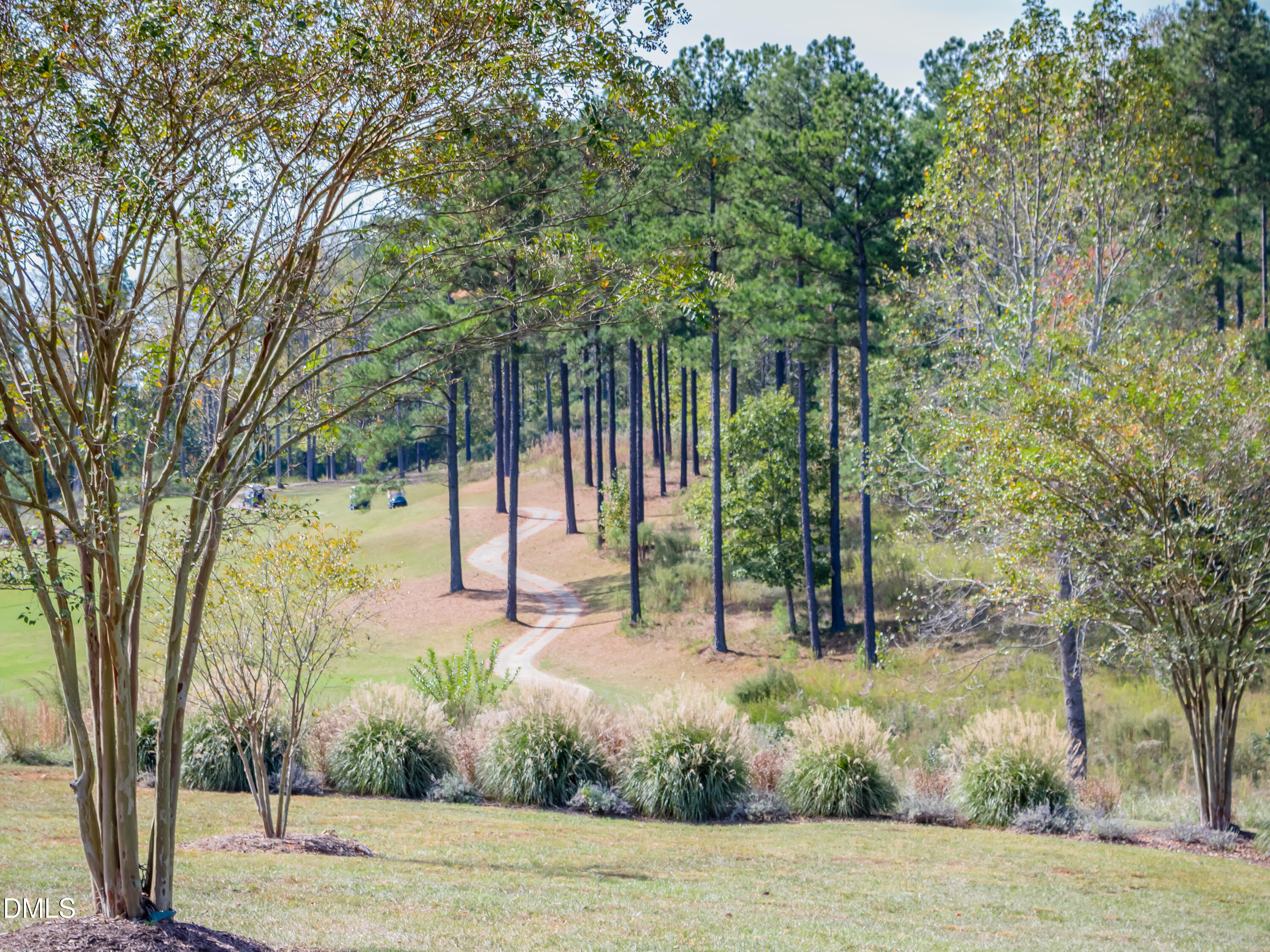 191 High Ridge Lane Pittsboro, NC 27312 - Photo 19 of 54 a view of a park with large trees