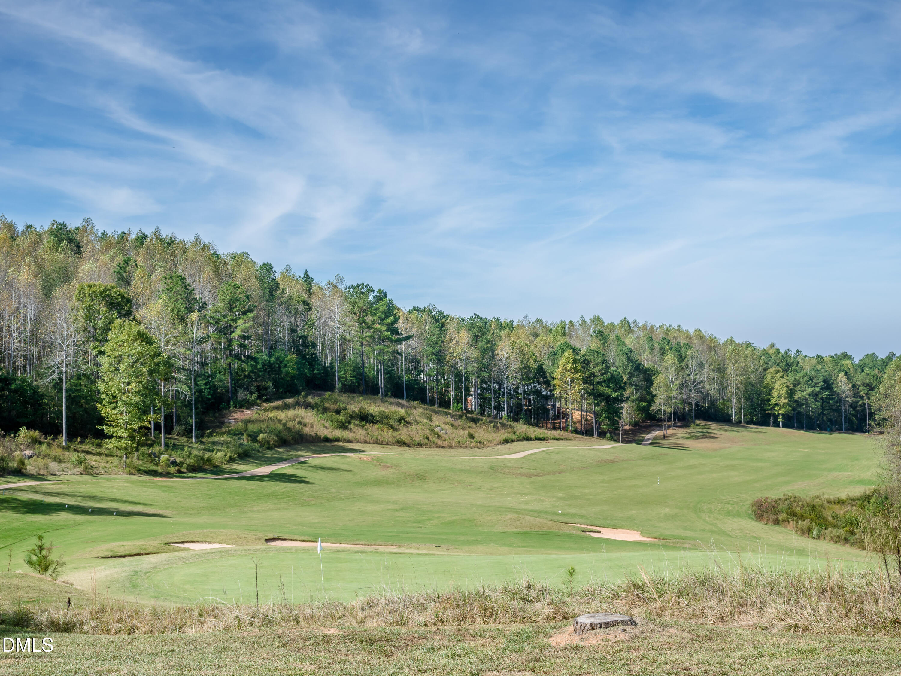 191 High Ridge Lane Pittsboro, NC 27312 - Photo 21 of 54 a view of a golf course with a lake