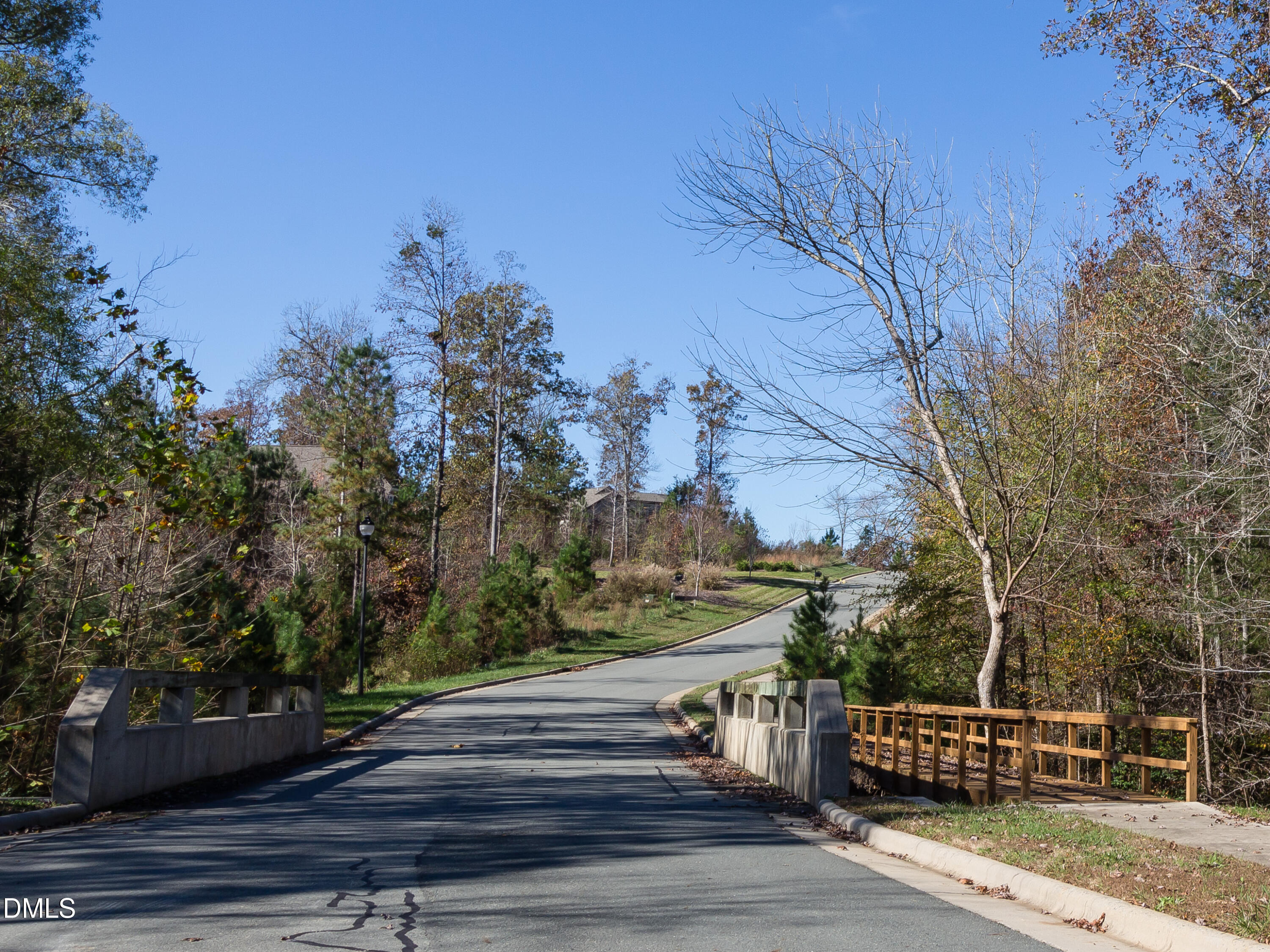 191 High Ridge Lane Pittsboro, NC 27312 - Photo 22 of 54 a view of pathway along with yard
