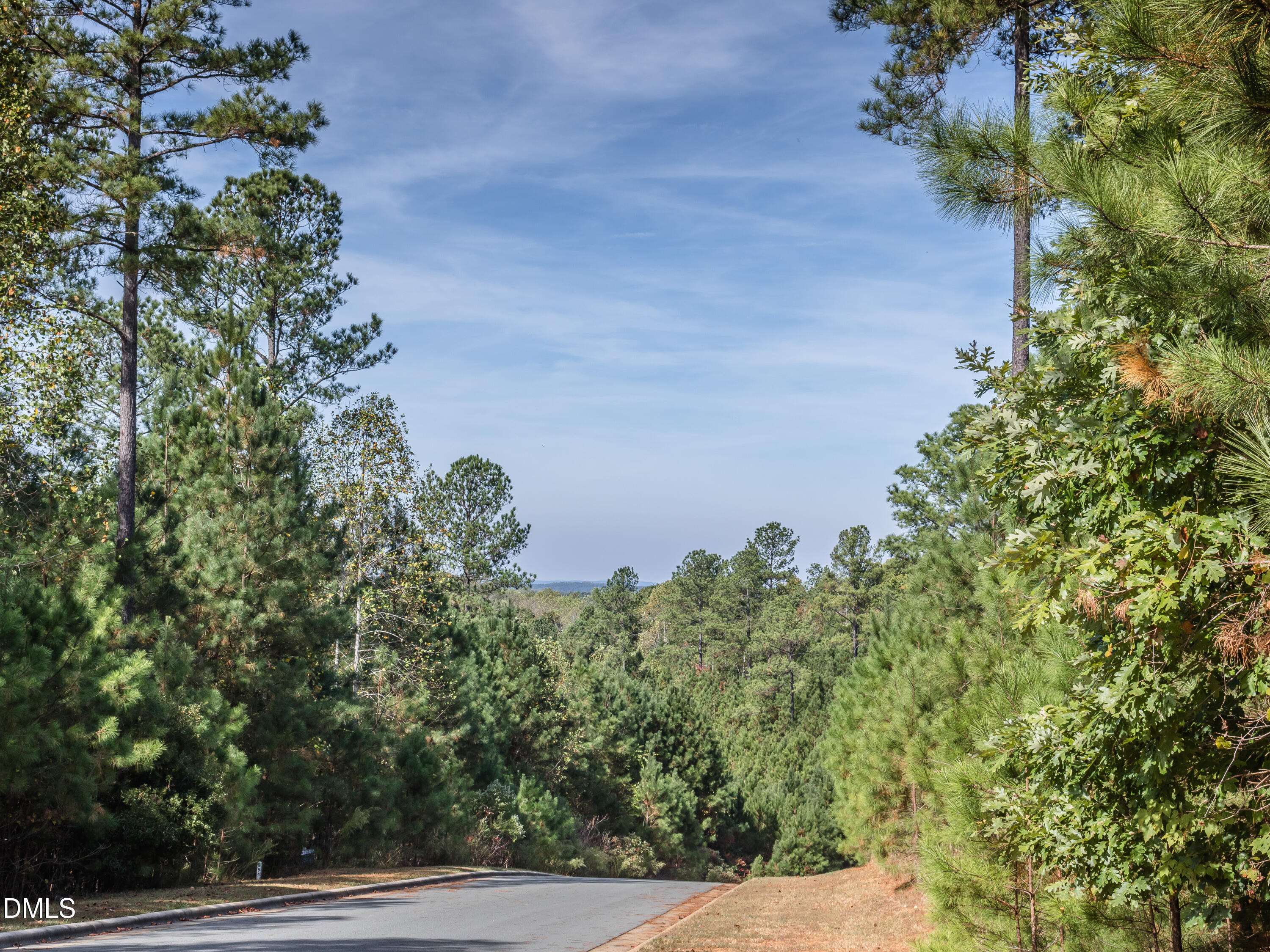 191 High Ridge Lane Pittsboro, NC 27312 - Photo 24 of 54 a view of a yard