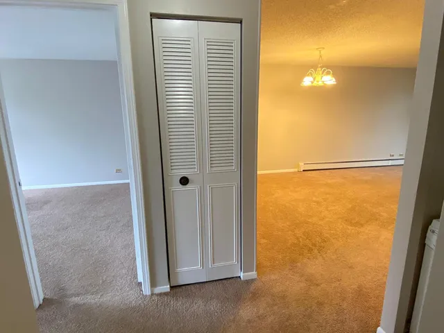 $1,700 | 125 North Gregory Street, Unit 10, Aurora, IL 60504