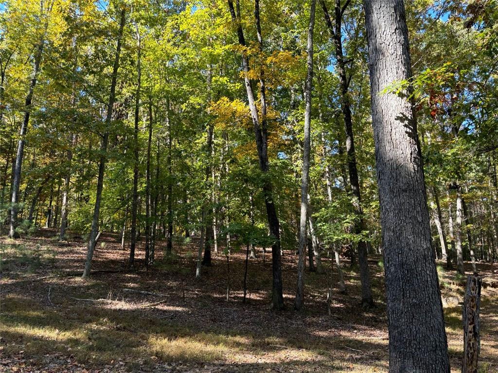 5649 Kennedy Road Suwanee, GA 30024 - Photo 9 of 14