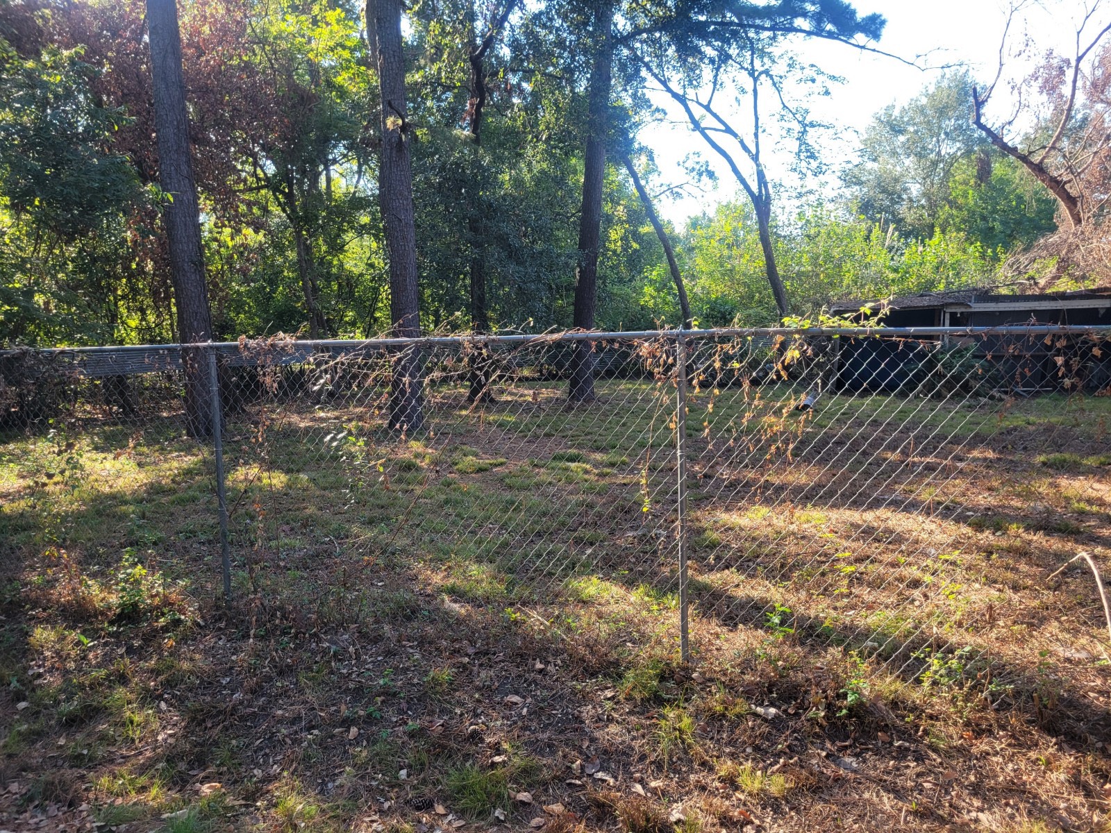 964 Garapan Street Houston, TX 77091 - Photo 1 of 3