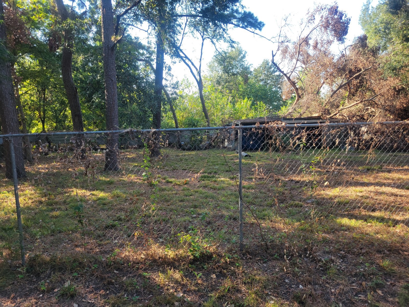 964 Garapan Street Houston, TX 77091 - Photo 2 of 3