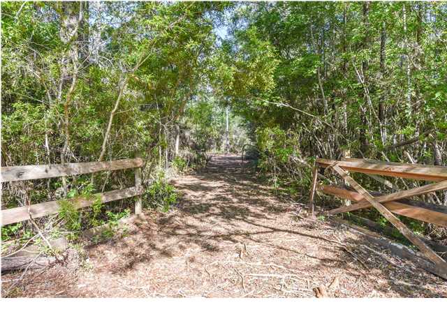 2011 River Bend Road Carrabelle, FL 32322 - Photo 7 of 14